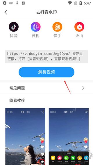 刷圈精灵安卓版