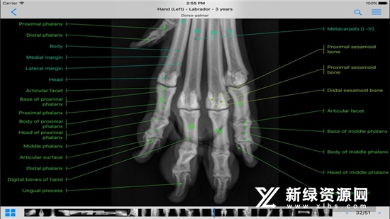 vet-Anatomy动物3d解剖