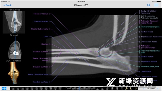 vet-Anatomy动物3d解剖