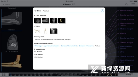 vet-Anatomy动物3d解剖