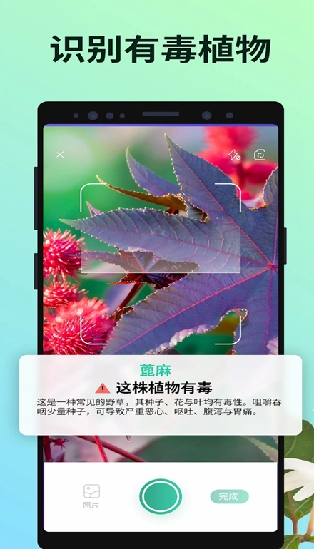 PictureThis安卓手机版(植物识别软)