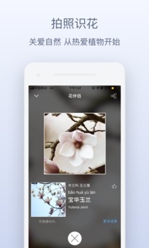 花伴侣下载拍照识花