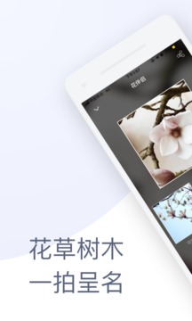 花伴侣下载拍照识花