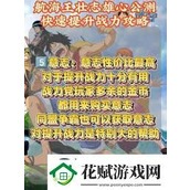 航海王 壮志雄心角色升级手册奖励领取指南