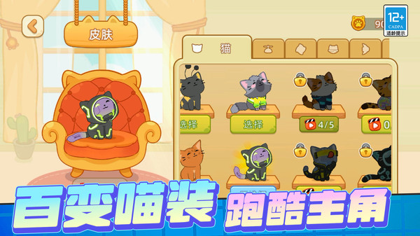 宠物救援