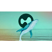 上市公司Eyenovia宣布砸5000万美元投资$HYPE，为何选Hyperliquid而非比特币？