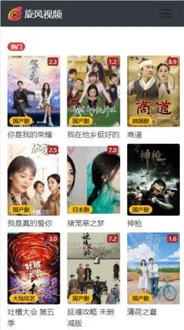 旋风视频在线观看