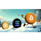 Solana和BNB在仅奖励比特币的市场中承压