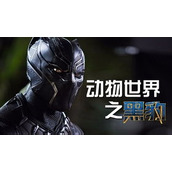 漫威争锋手游中黑豹的技能有哪些？