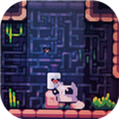 里德重启世界之旅