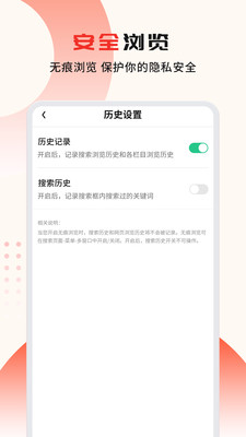 疯看浏览器极速版
