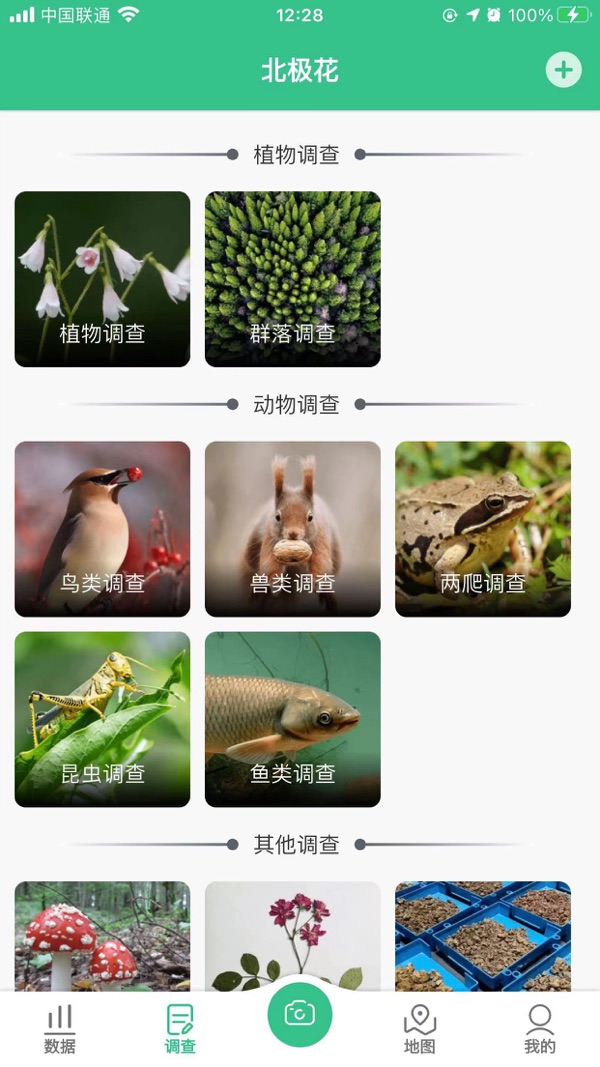 北极花生物调查