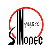 掌上石化