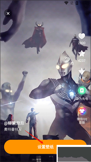 麦麦动态壁纸
