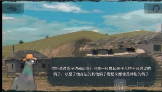 鸽子西部鸽子约翰尼