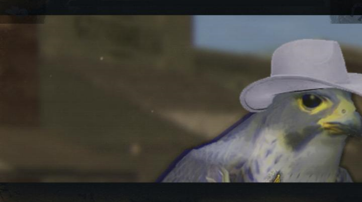 鸽子西部鸽子约翰尼