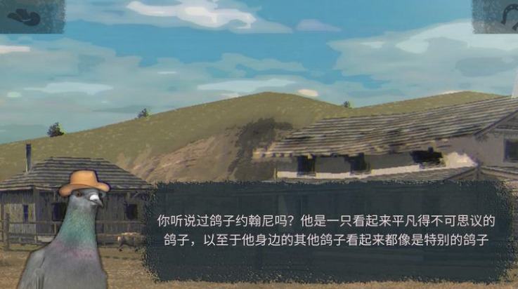 鸽子西部鸽子约翰尼