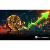 比特币价格维持在10.2万美元上方，但网络活跃度低于峰值水平
