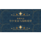 典雅风尚年中复盘与战略展望ppt模板