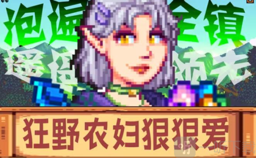 星露谷物语乙女版魔改版