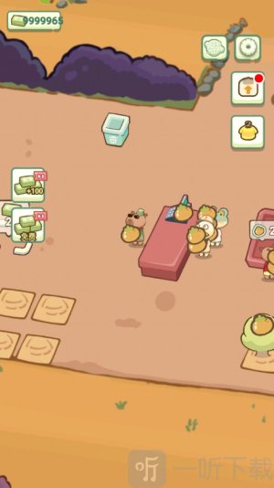 Forest Market