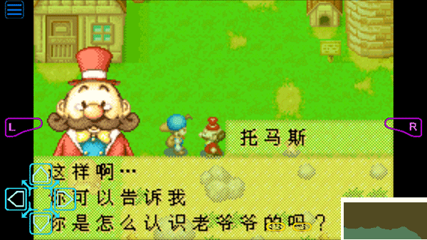 牧场物语矿石镇的伙伴们