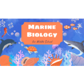 卡通水彩海洋生物科普教学课件ppt模板