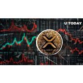 随着资金费率转正，80%的XRP持有者实现盈利