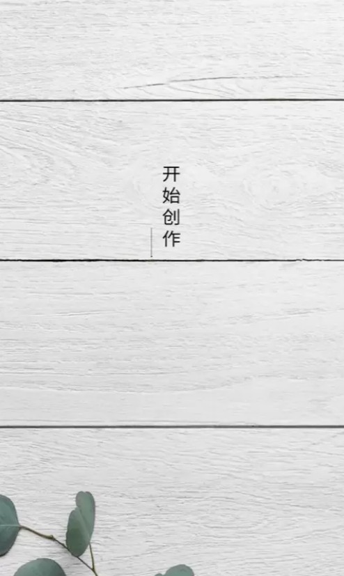 视频倒放去水印器