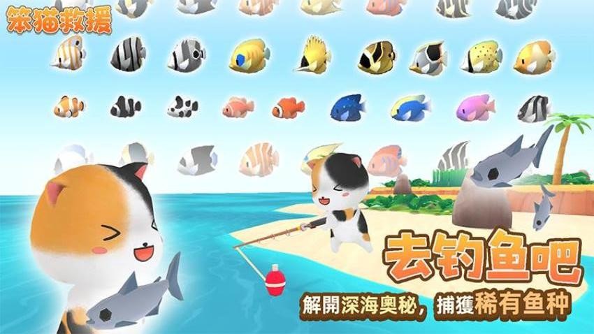 笨猫救援