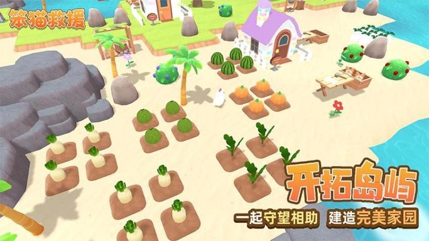 笨猫救援