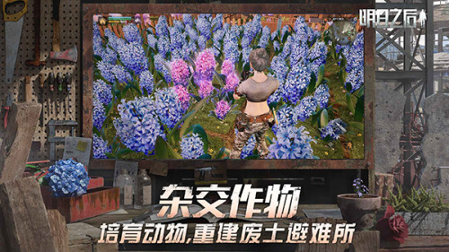 云明日之后