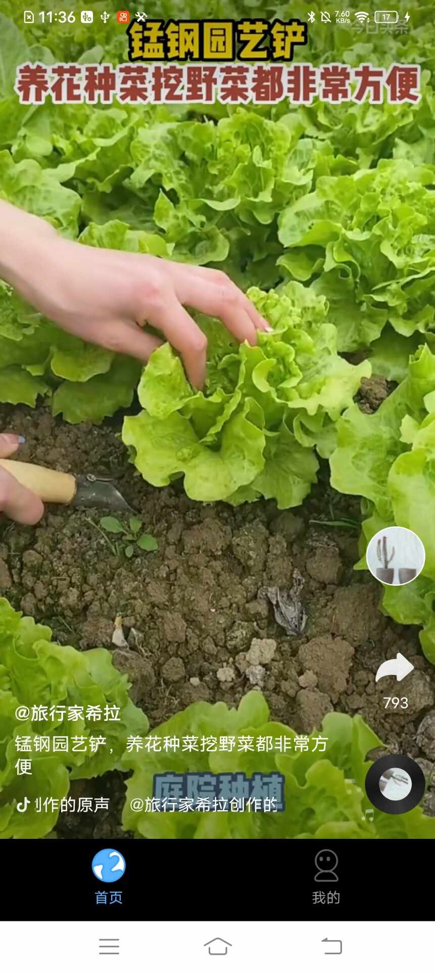 松鼠剧场短视频手机下载