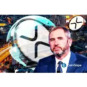 XRP新闻：Ripple首席执行官Brad Garlinghouse透露1000%的XRP承诺