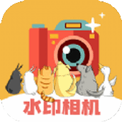 水印P图