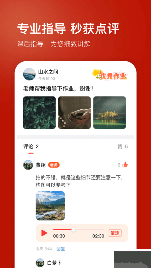 红松