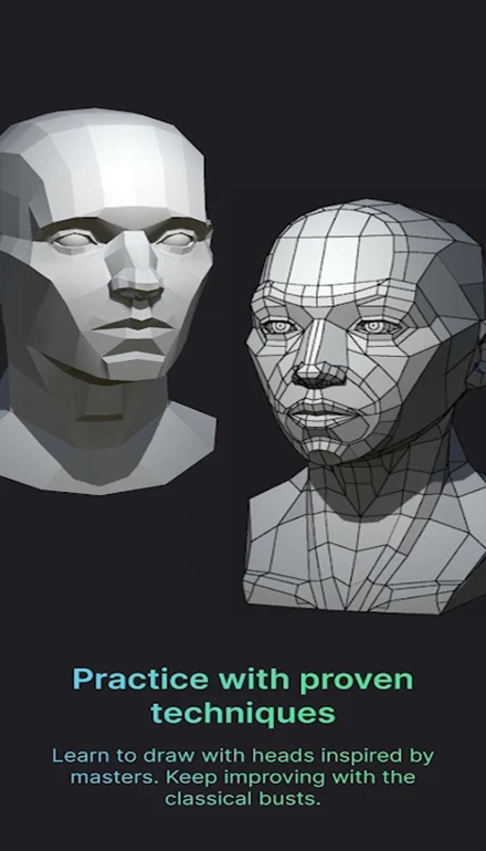 Head
