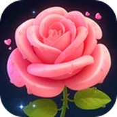 消除花花