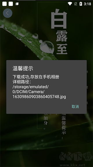 壁纸库