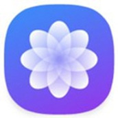 墨鱼主题商店最新版