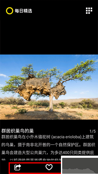 每日精选