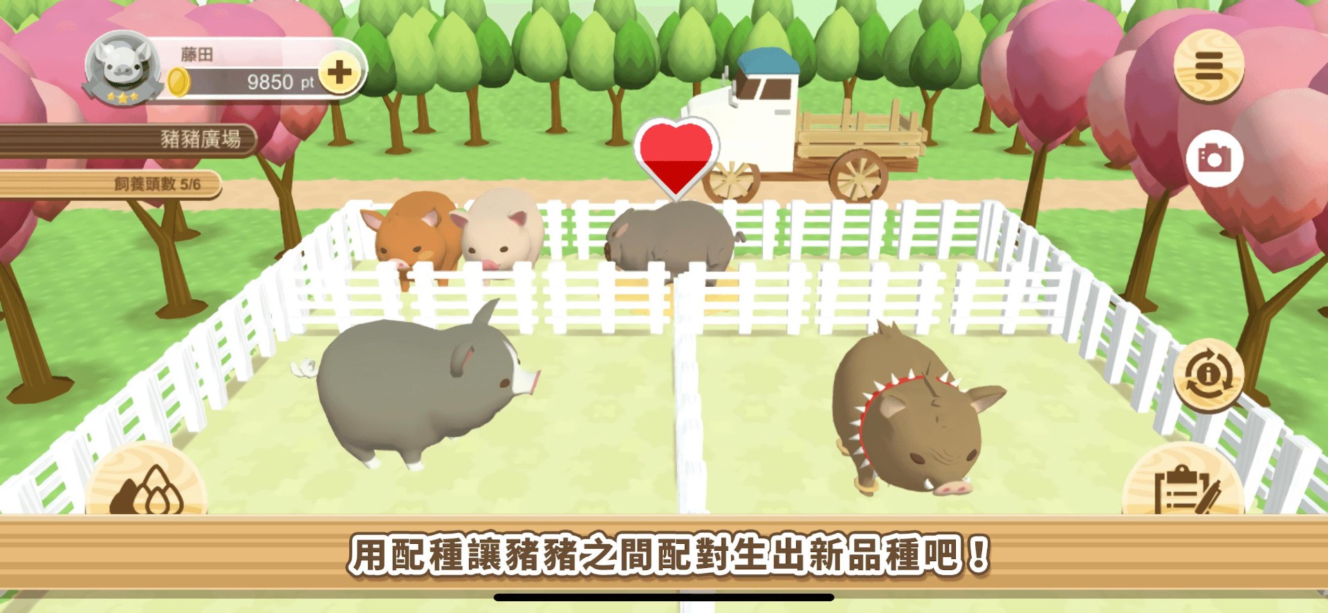 养猪场3d最新版下载