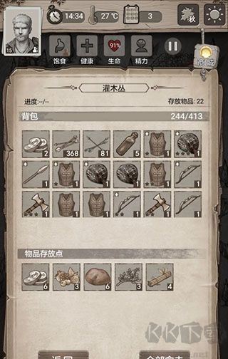 荒野日记孤岛