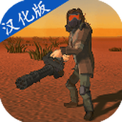 死亡荒地生存（Dead Wasteland Survival）