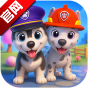 Talking Husky Dog会说话的哈士奇狗