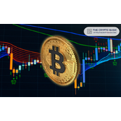 比特币长期持有者未实现利润暴跌至2024年10月水平：对价格意味着什么