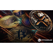 随着BAY Miner云挖矿每日收益达20,777美元，BTC、XRP与DOGE同步上涨