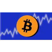BitcoinTalk用户解锁2012年比特币宝库后，500美元变1000万美元