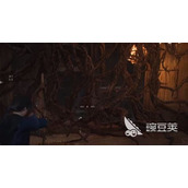 燕云十六声 揭秘洞窟奇趣玩法 挑战你的智慧极限