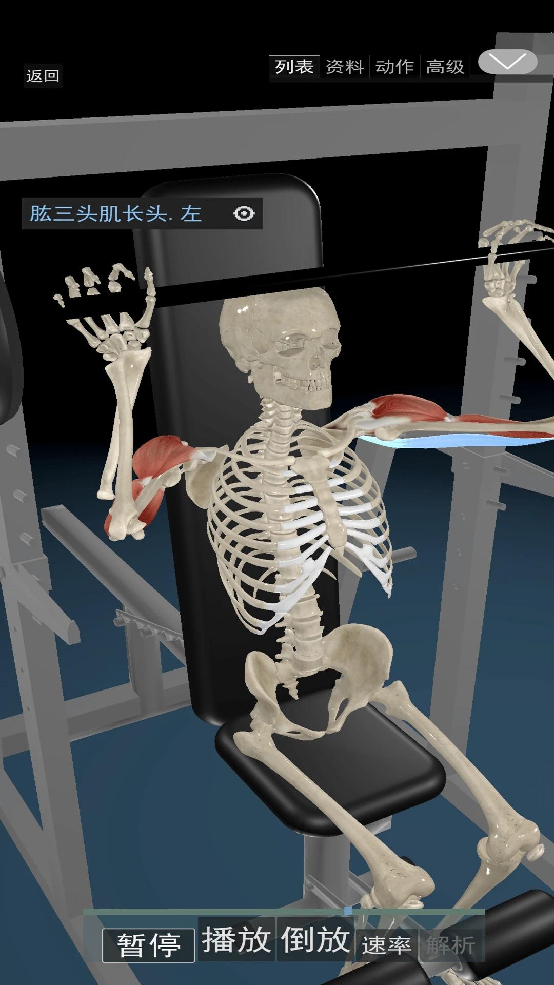 3d动态解剖